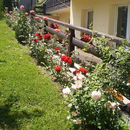 Apartments Vila Velickovic Zlatibor Eksteriør bilde