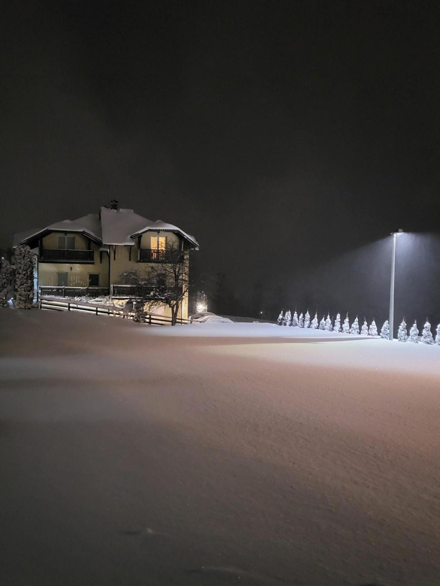 Apartments Vila Velickovic Zlatibor Eksteriør bilde