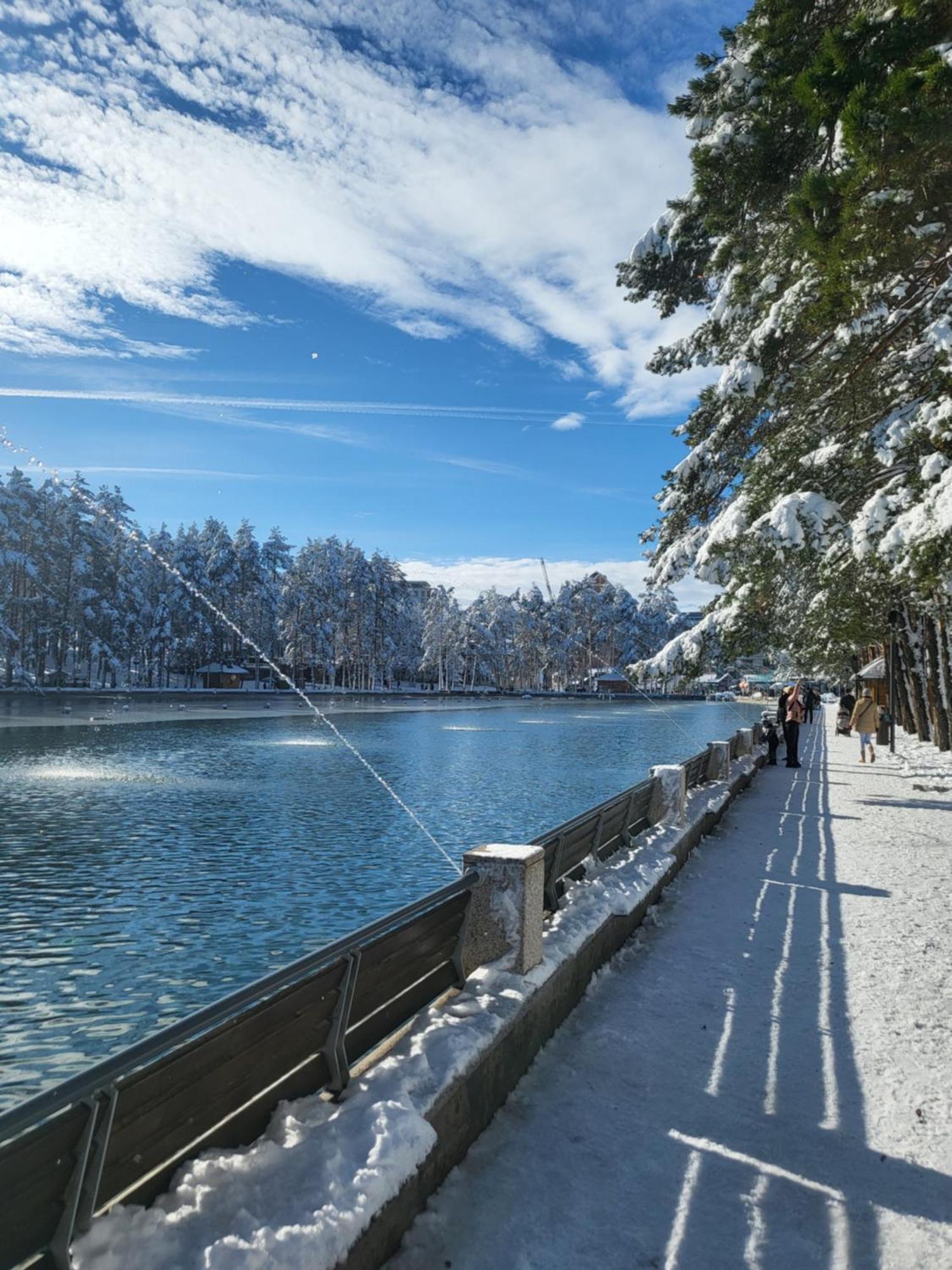 Apartments Vila Velickovic Zlatibor Eksteriør bilde