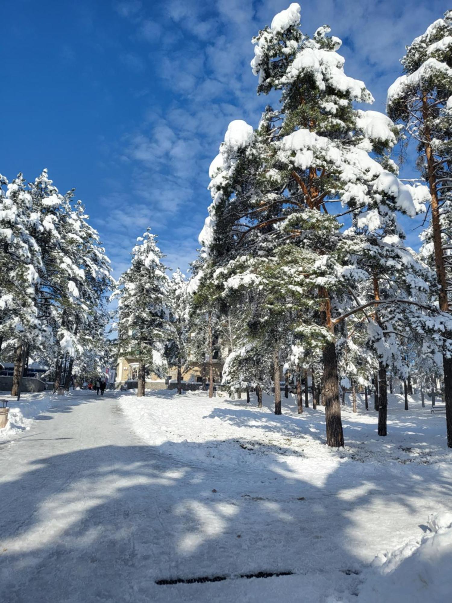 Apartments Vila Velickovic Zlatibor Eksteriør bilde