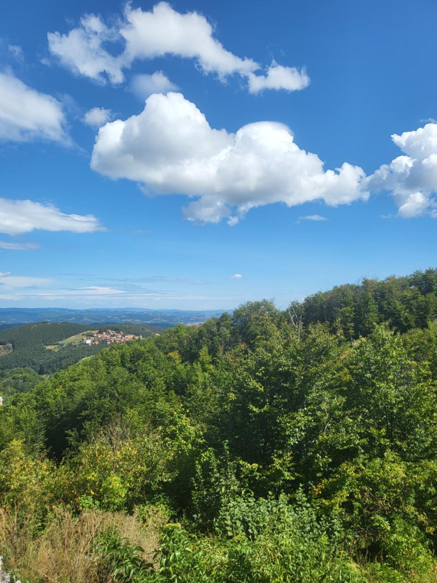 Apartments Vila Velickovic Zlatibor Eksteriør bilde