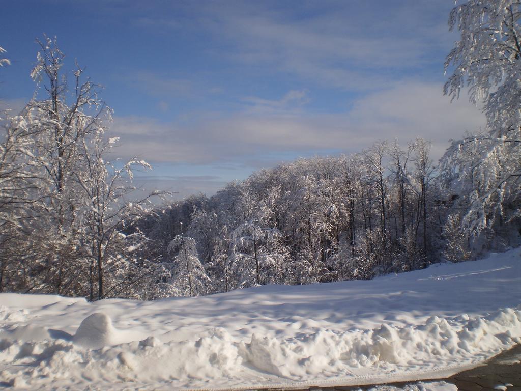 Apartments Vila Velickovic Zlatibor Eksteriør bilde